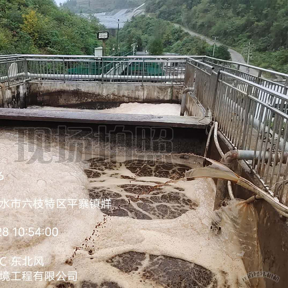 91视频下载污滲濾液處理中泡沫產生的危害